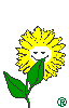 1giggle.gif (1832 bytes)