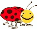1smilebug.gif (4634 bytes)