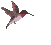 4flutterinn.gif (3069 bytes)